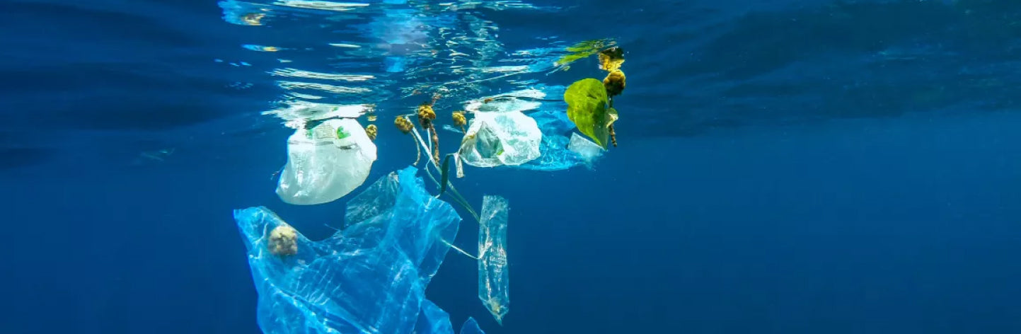 Alternatives to using Plastic in our everyday routine